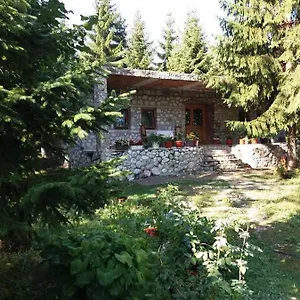 Hyrmet Demushi Albanië